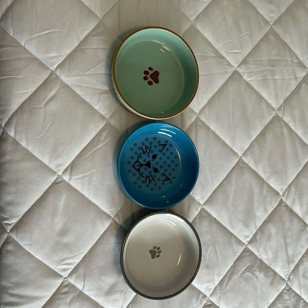 Cat bowls